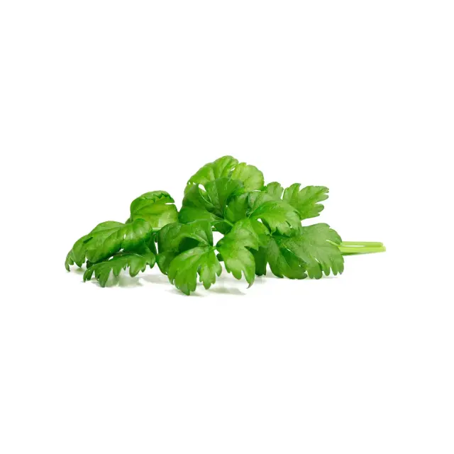 Click and Grow Συσκευασία Σπόρων με Χώμα, για Σέλινο – 3τμχ