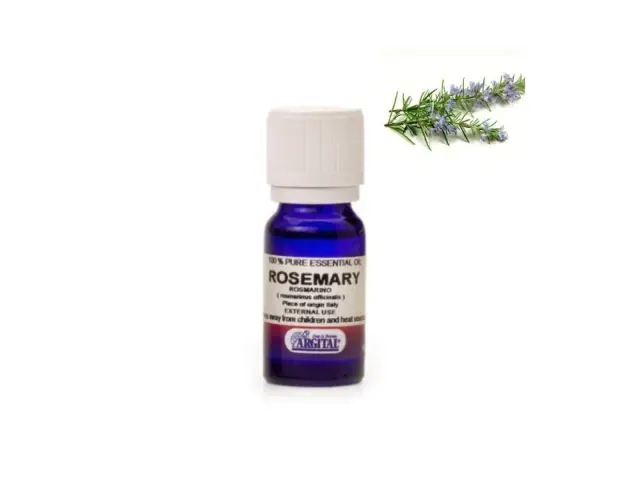 ARGITAL Essential Oil Rosemary – Φυσικό Τονωτικό Αιθέριο Έλαιο Δενδρολίβανου για Κυτταρίτιδα & Μαλλιά, 10 ml