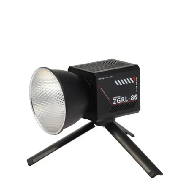 LED Light 80W ZGRL-80 3