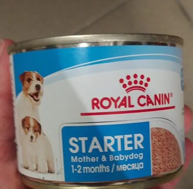 Royal Canin Starter Mother & Babydog Μους για Κουτάβια & Θηλάζουσες Μανούλες 195gr