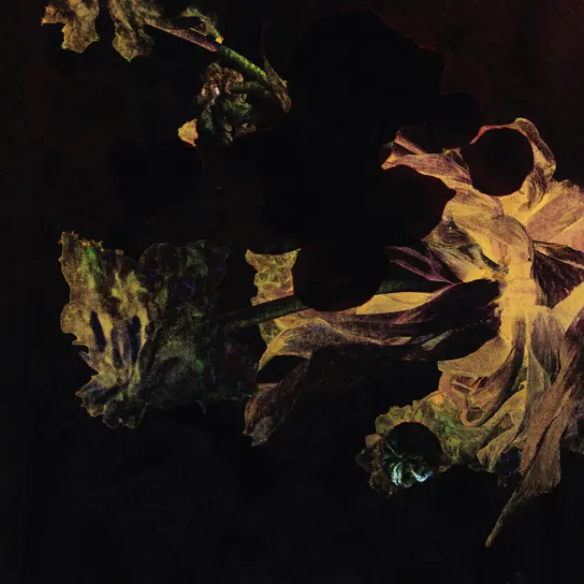 Den Der Hale - Larking About (Vinyl)