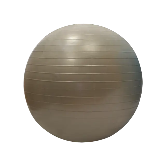 Sportifrance Gymball 55cm Light Grey