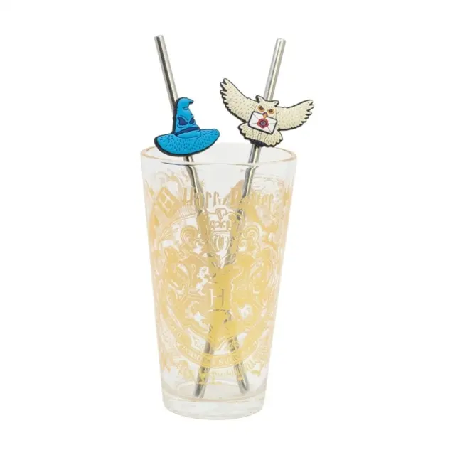 Ποτήρι γυάλινο με 2 καλαμάκια Harry Potter Magic and Mayhem Young Adult Glass 480ml w twin straw set 31019