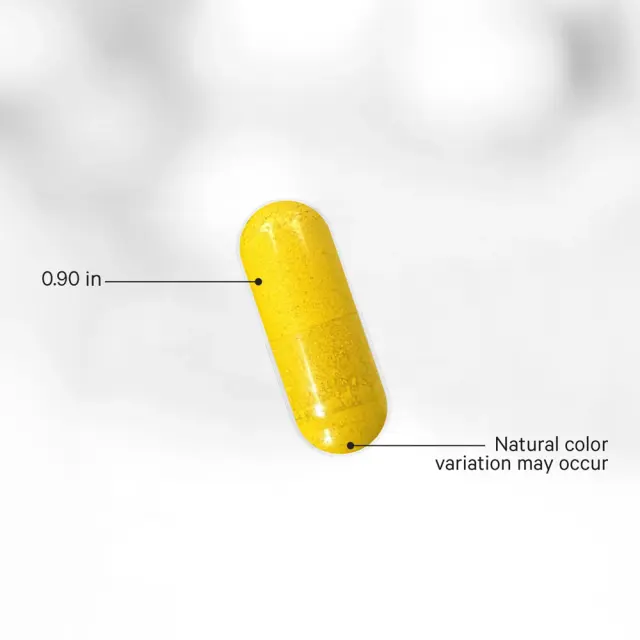 Codeage Berberine Phytosome+ 3