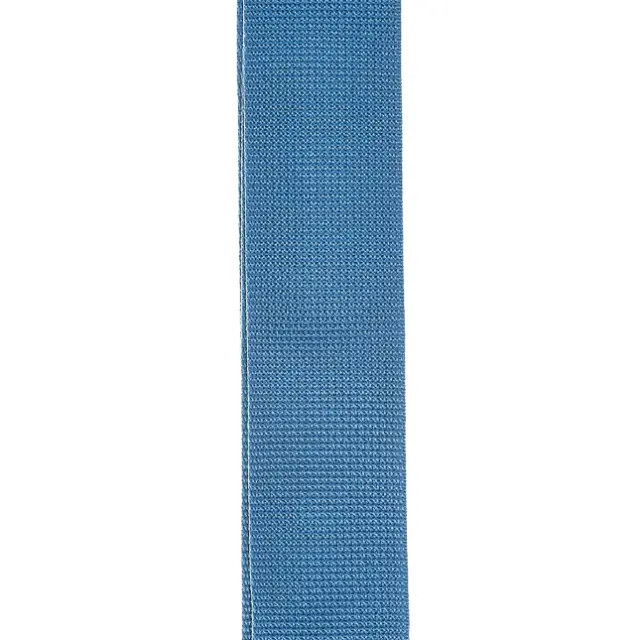 PWS102 D Addario Polypropylene Guitar Strap, Blue 3