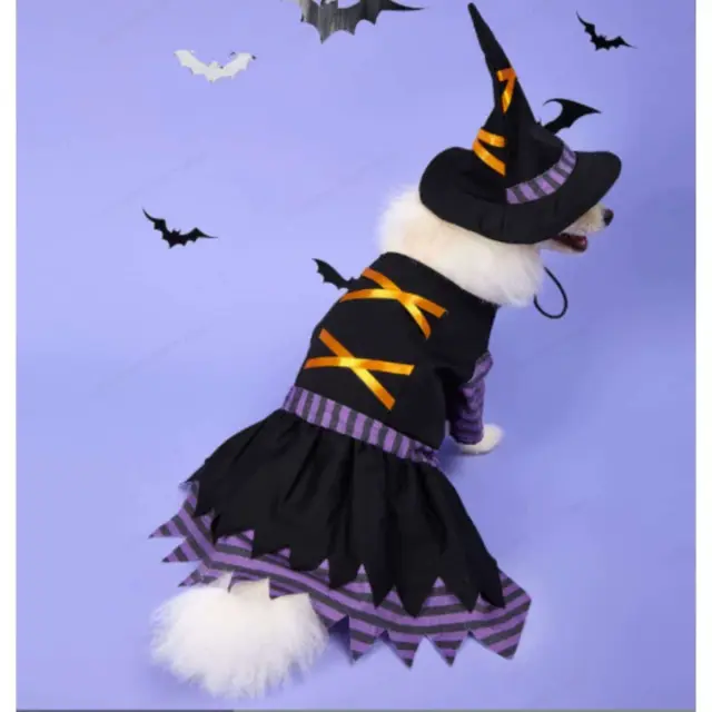 Αποκριάτικη στολή Σκύλου Γάτας Μαγισσούλα Halloween (Μήκος Ράχης : 23cm - 40cm) - Λαιμός: 35cm / Στήθος: 48cm 2