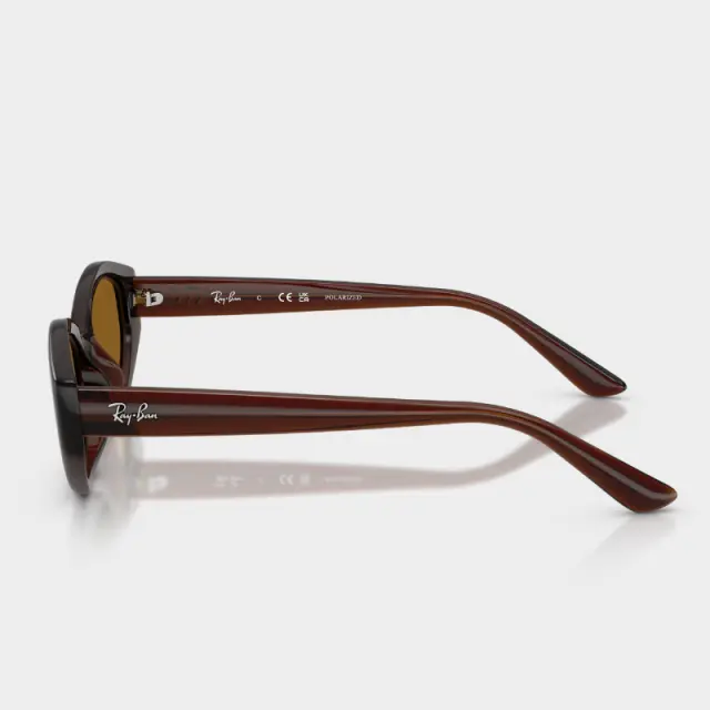 Γυαλιά Ηλίου Ray Ban 0RB4473D 714/83 Σκούρο Καφέ - 56 3