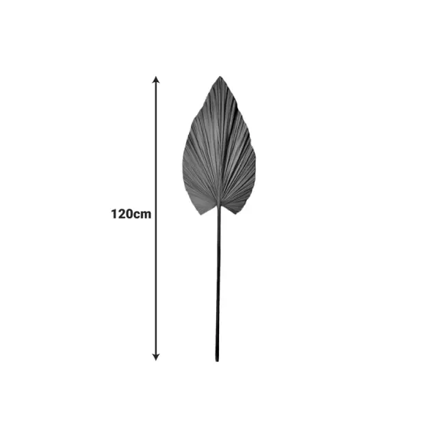 Διακοσμητικό φύλλο Leafen I pakoworld φυσικό palm leaf 130εκ 2