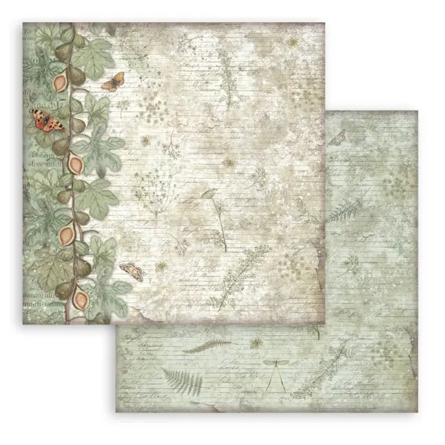 Χαρτιά scrapbooking 10τεμ, 20.3×20.3cm Stamperia, Herbarium Silvae, Backgrounds 2