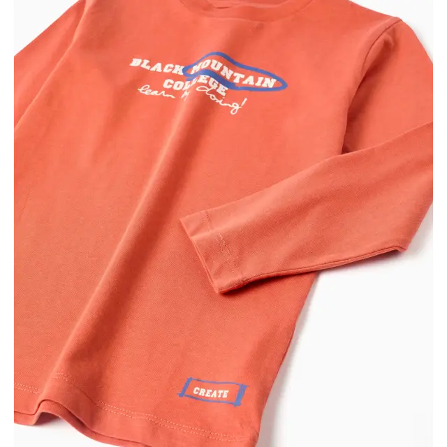 Zippy Μπλουζάκι Jersey Χρώμα Σκούρο Πορτοκαλί για Αγόρι 3