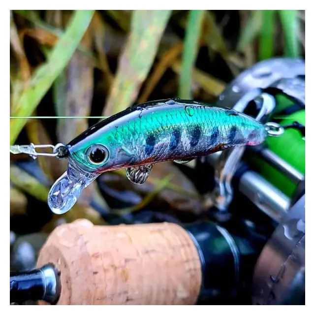 Τεχνητό DUO Spearhead Ryuki 45S SW AFA0830 Saddled Bream ND 2