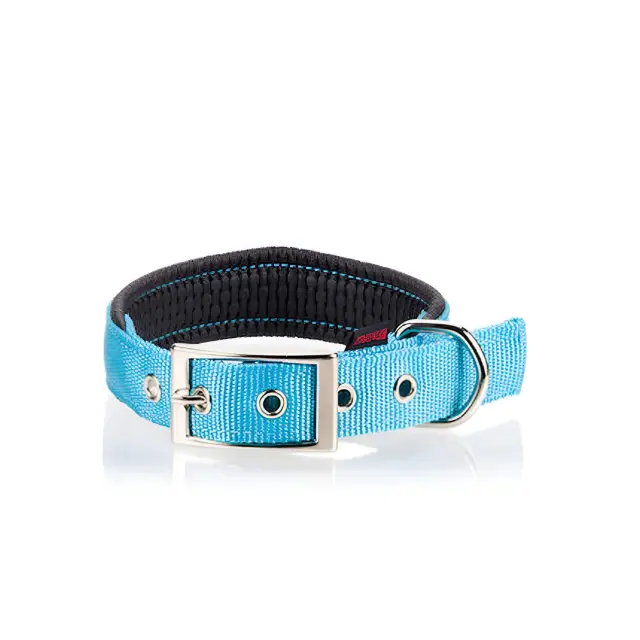 Pet Interest Neoprene Fluo Κολάρο Σκύλου Μπλε Small 16mm x 40cm
