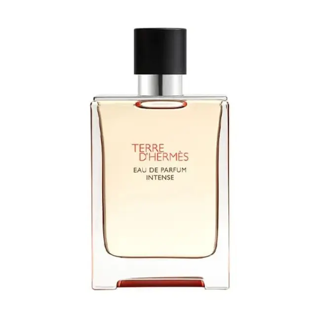 Hermès Terre D'Hermes Intense Eau de Parfum for men 100 ml