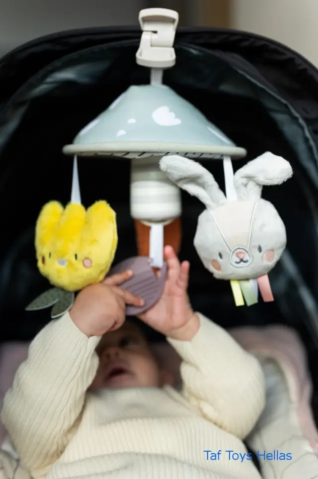 Taf Toys GARDEN PRAM MOBILE 2