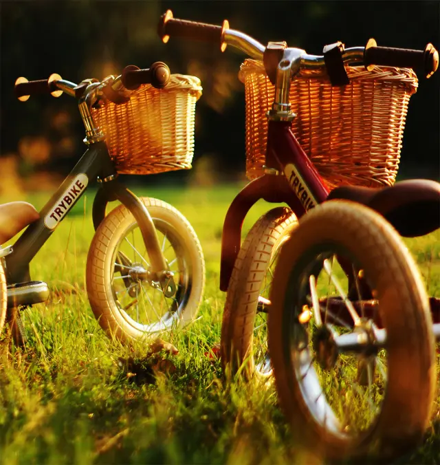 Trybike Καλάθι Ποδηλάτου TBS-201-BSK 3