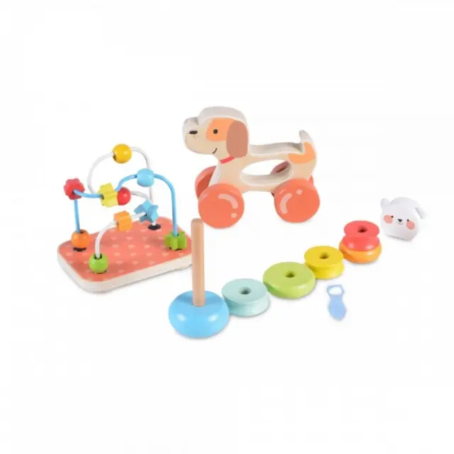 Moni Toys Σετ Ξύλινα Εκπαιδευτικά Παιχνίδια 2203 3