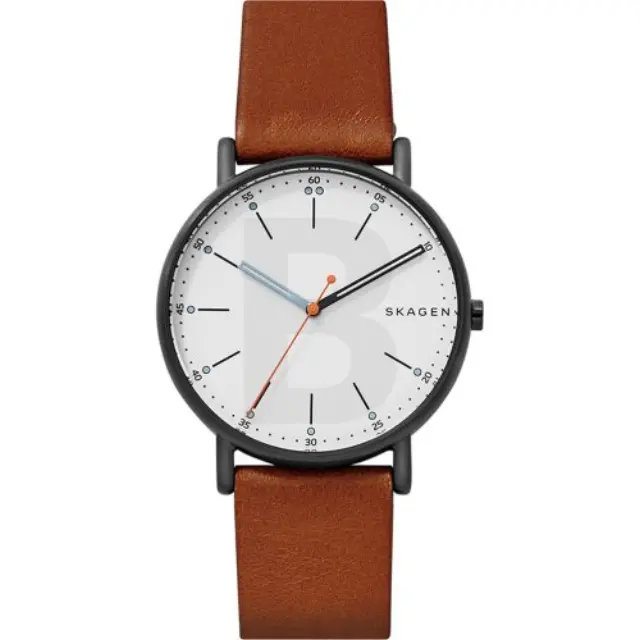 Skagen Signature Big Brown SKW6374