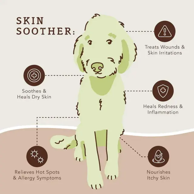 Natural Dog Company Stick Skin Soother Φυτική Αλοιφή για Δερματικά 60ml Μονόχρωμο 2