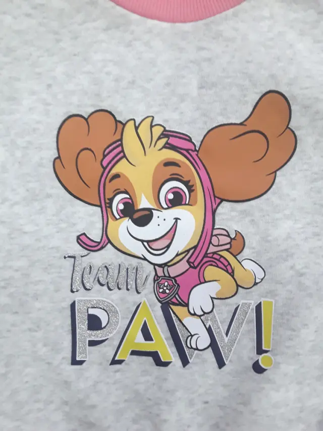 Σετ Φόρμες Φούτερ Pink Paw Patrol 8020210 - 24 M (92cm) 2
