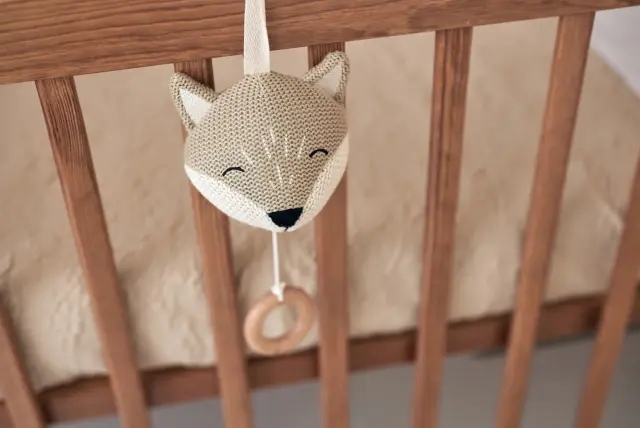 Μουσικό Ζωάκι Fox – Jollein 3
