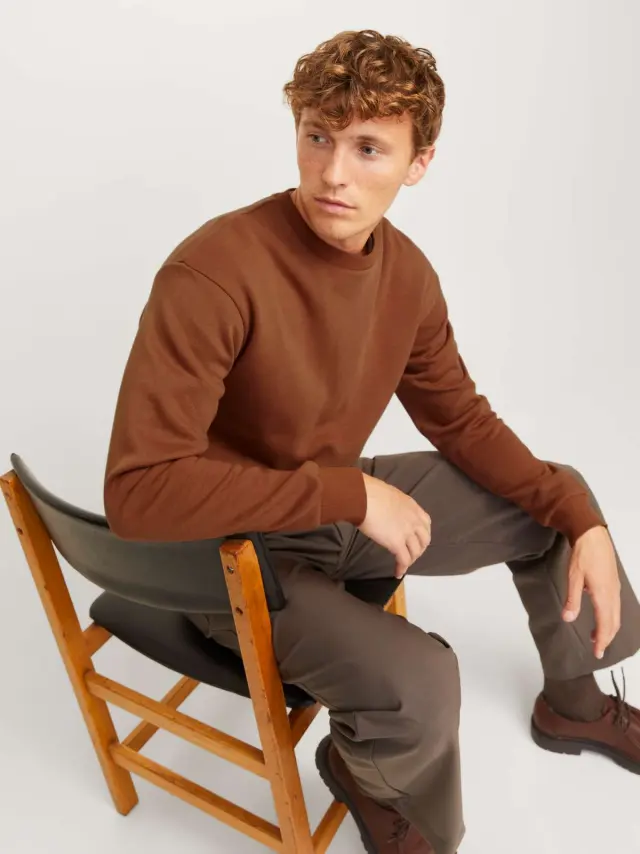 JJEBRADLEY SWEAT CREW NOOS Mocha Bisque 2