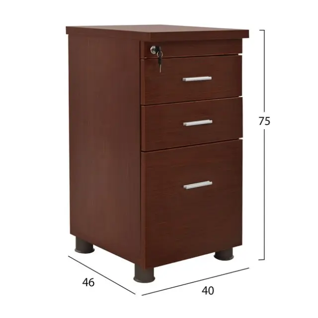 ΣΥΡΤΑΡΙΕΡΑ ΓΡΑΦΕΙΟΥ ΕΠΑΓΓΕΛΜΑΤΙΚΗ WENGE FB92049.12 40X46X75Υ εκ. 2