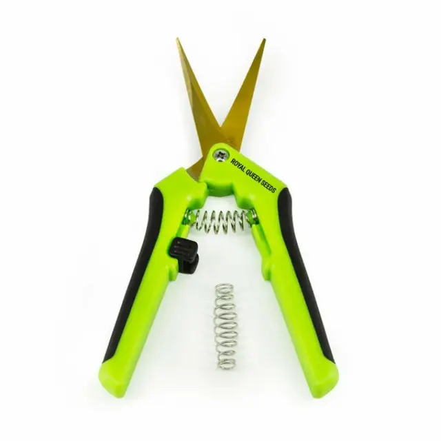 Curved Trimming Scissors 3