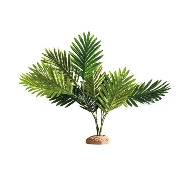 Hobby Palm Διακοσμητικό Φυτό 60x40x55cm