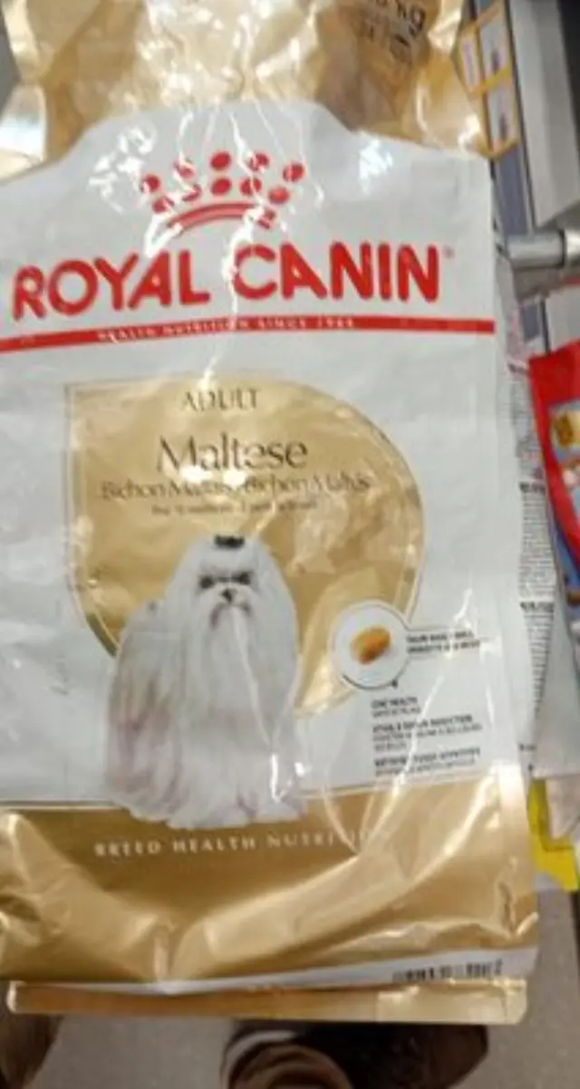 Royal Canin Πλήρης τροφή για ενήλικους σκύλους φυλής Maltese - Πάνω των 10 μηνών 1.5kg