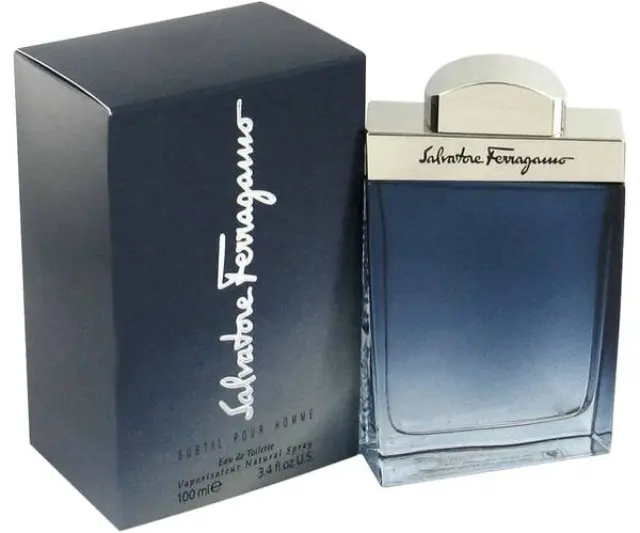 Salvatore Ferragamo Subtil Pour Homme Eau de Toilette for men 100 ml