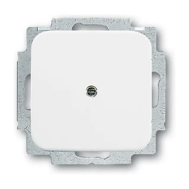 2538-214 CoverPlates (partly incl. Insert) carat® Alpine white