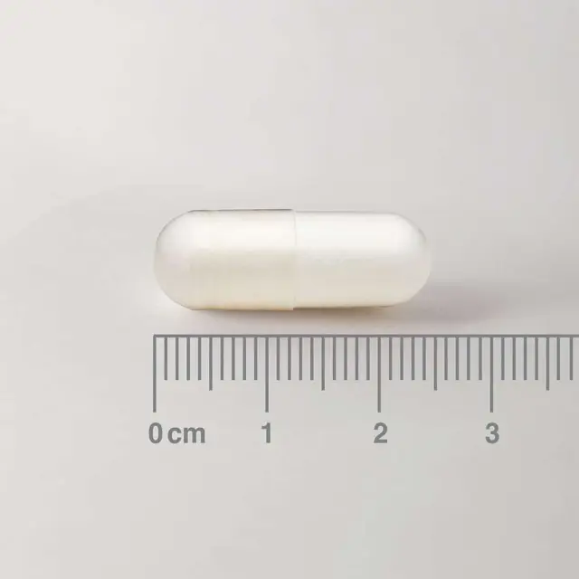 LAMBERTS L-Methionine 500 mg Σημαντικό Αμινοξύ στην Ανάπτυξη & Επιδιόρθωση των Ιστών, 60caps 3