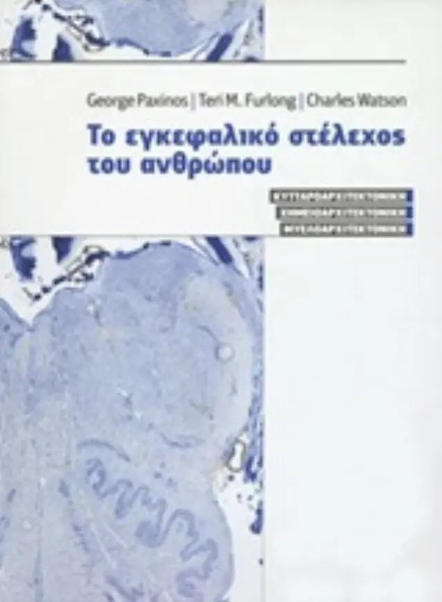 Το εγκεφαλικό στέλεχος του ανθρώπου