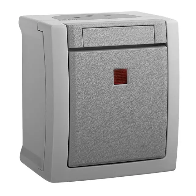 Pacific Grey (Quick Connection) Illuminated Switch