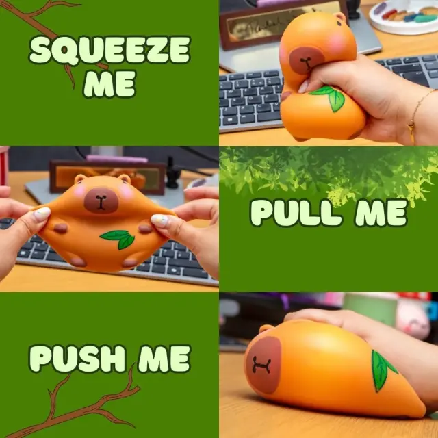 Boxer Gifts Squishy Stress Toy: Capybara 2