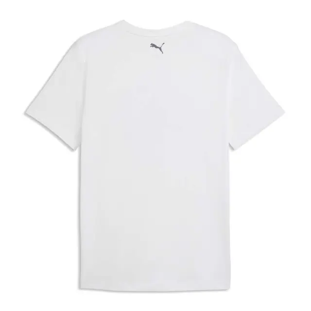 Puma Men's Graphic 2 Tee Άσπρο 528531-02 (Puma) 2