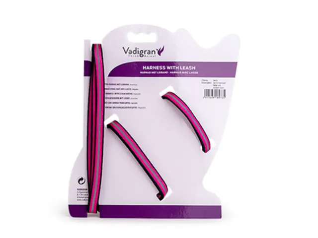 Vadigran Reflect Σαμαράκι & Λουρί Γάτας Ροζ 22-32cm/120cm 2