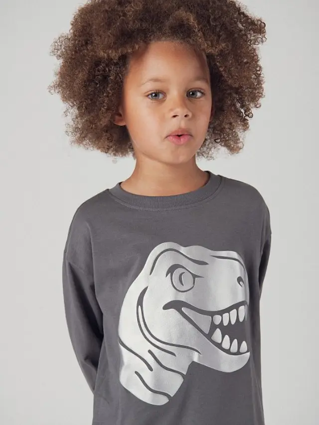 Παιδική Μπλούζα για Αγόρια Grey Dinosaur ΓΚΡΙ 3