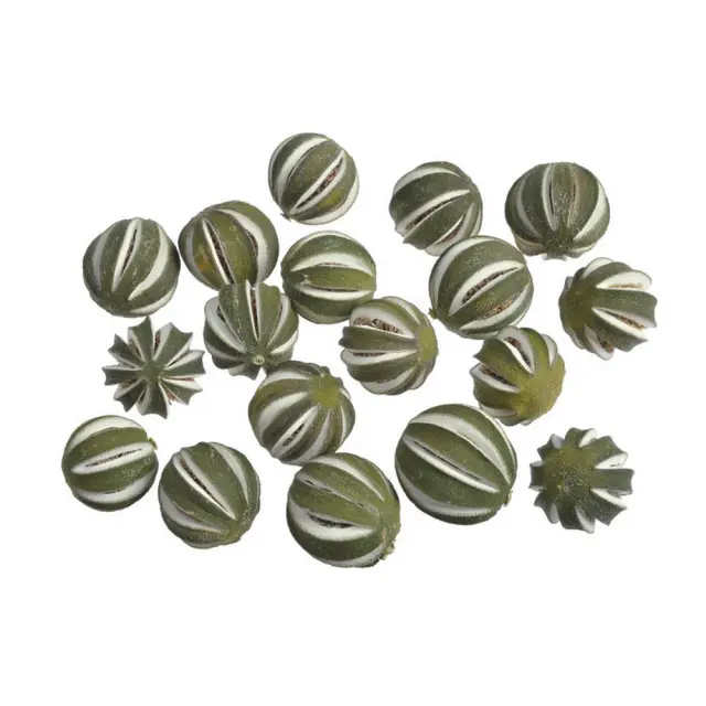 Lime ολόκληρα αποξηραμένα, 5 τεμ, 3.5-4.5cm