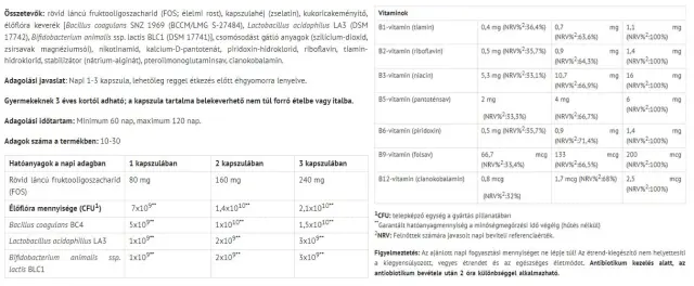 Natur Tanya S. Ferzyme Intestinal Flora Capsules 2