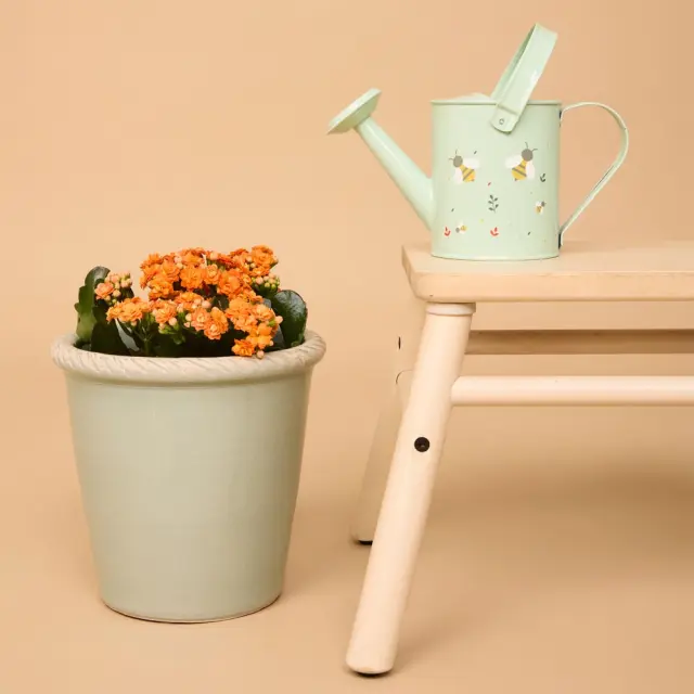MINILAND ΠΑΙΔΙΚΟ ΠΟΤΙΣΤΗΡΙ ΚΗΠΟΥΡΙΚΗΣ - GARDENING WATERING CAN 2