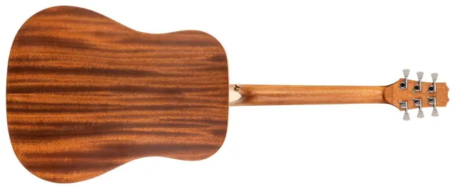 PEAVEY DELTA WOODS DW-1 ΑΚΟΥΣΤΙΚΗ ΚΙΘΑΡΑ ΜΕ ΘΗΚΗ 2