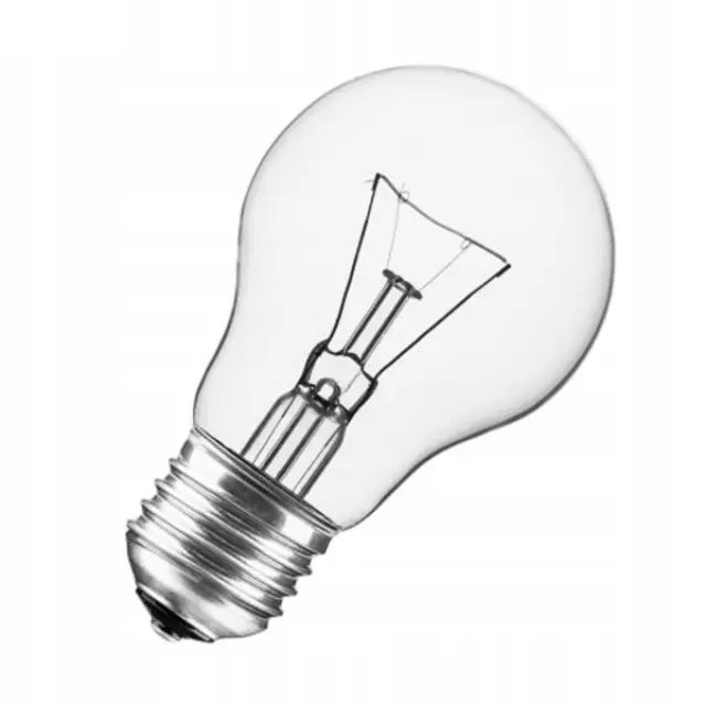 Halogen Lamp 100W A55 E27 240V
