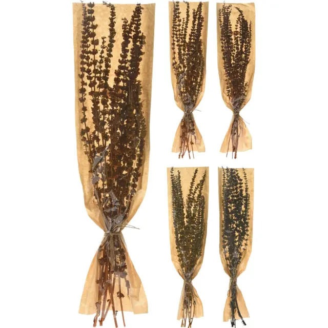 Φύλλα Αποξηραμένα Palang Grass Δεμένα Σε Χάρτινη Θήκη Σε 4 Ποικιλίες