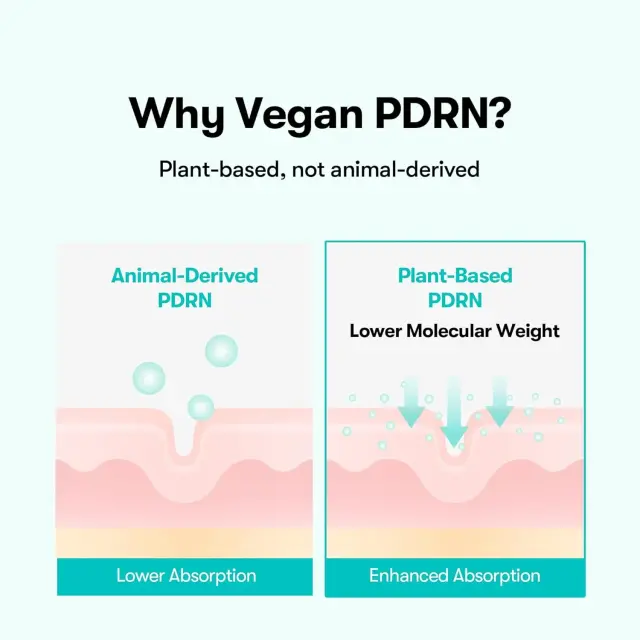 Vt Cosmetics Pdrn Glow Ampoule - Aναζωογονητικό Mist-ampoule με Vegan Pdrn 100ml 2