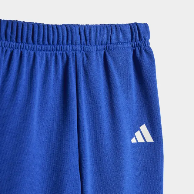 Adidas Seasonal Essentials Adiraptor French Terry Jogger Set Kids JN2233 - 12Μ 2
