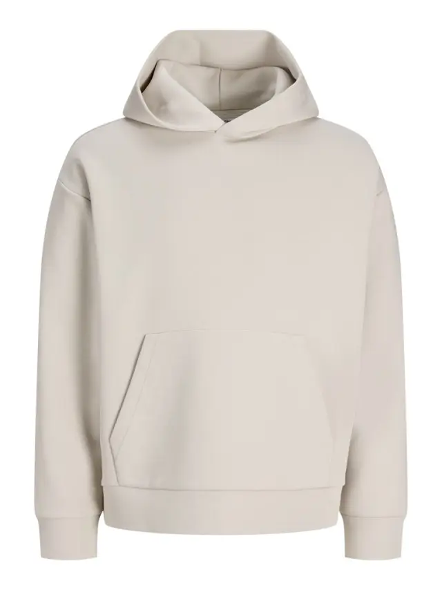 JJEBARRON SWEAT HOOD NOOS - Moonbeam