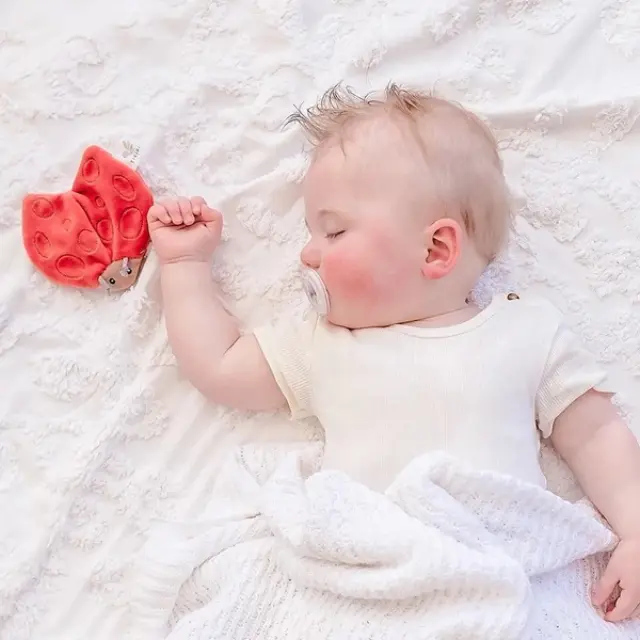 TIKIRI TOYS TIKIRI ΥΦΑΣΜΑΤΙΝΟ ΠΑΙΧΝΙΔΙ LADY BUG ΜΕ CRINKLE 2
