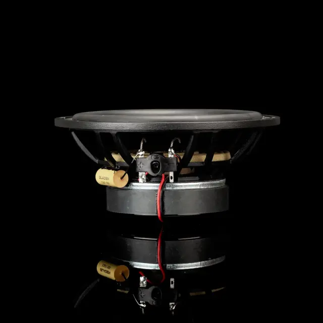 Sigma 165X coaxial speaker 3
