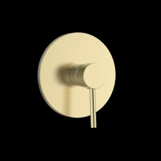 41-5232 GINI- ΜΠΑΤΑΡΙΑ ΛΟΥΤΡΟΥ ΕΝΤΟΙΧΙΣΜΟΥ ONE FUNCTION BRUSH GOLD GLORIA